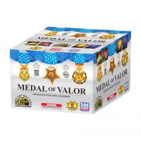 Medal Of Valor