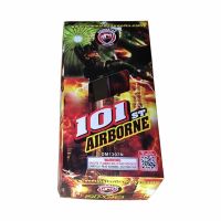 101st Airborne Paratrooper