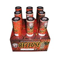 Recluse