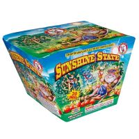 Sunshine State - 500 Gram Firework